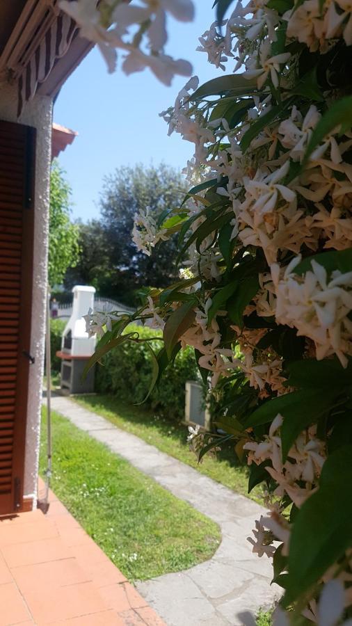 Villetta Cinquale Versilia Exterior foto